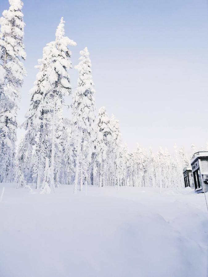 Levi Sky Igloo With Private Sauna And Hot Tub Exteriör bild