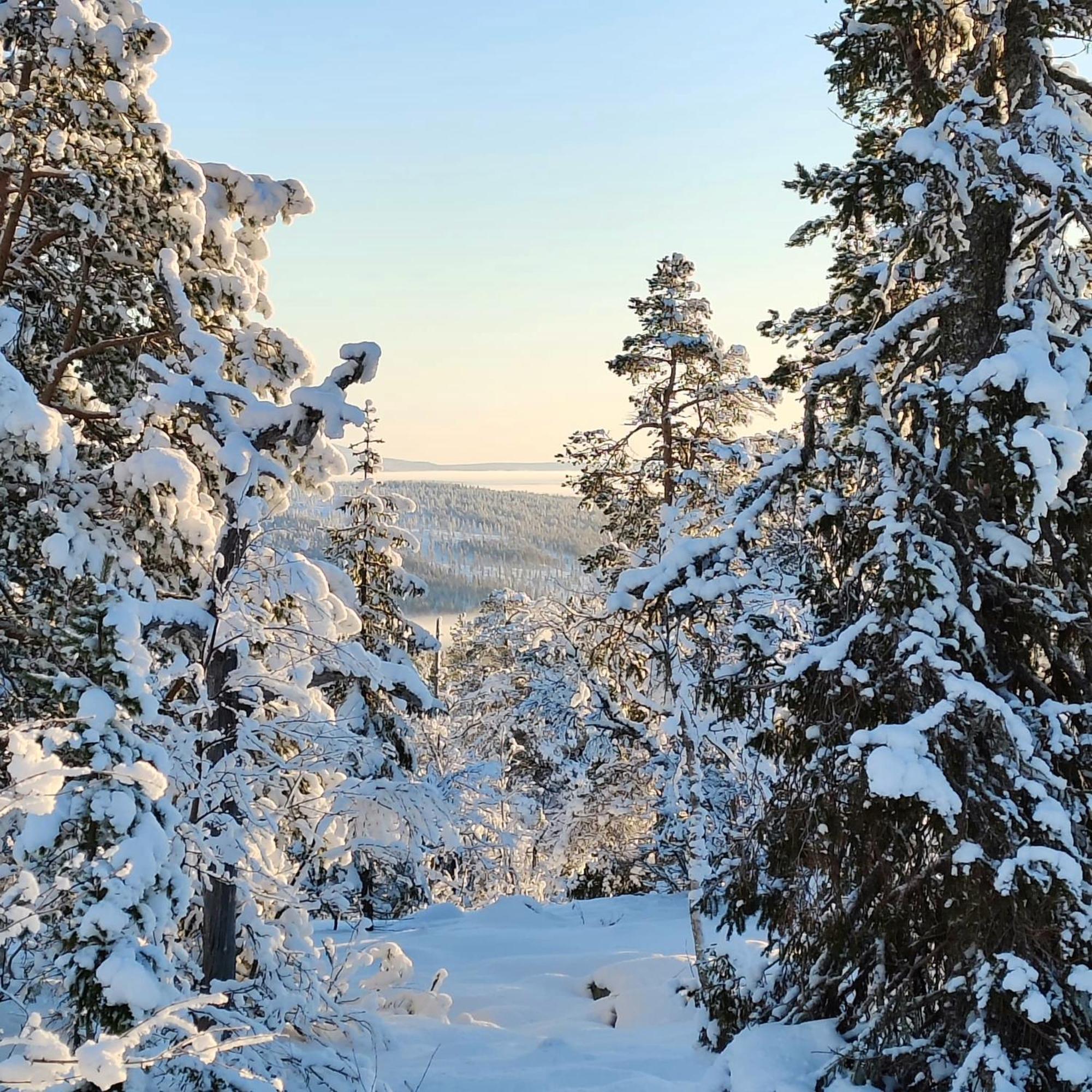 Levi Sky Igloo With Private Sauna And Hot Tub Exteriör bild