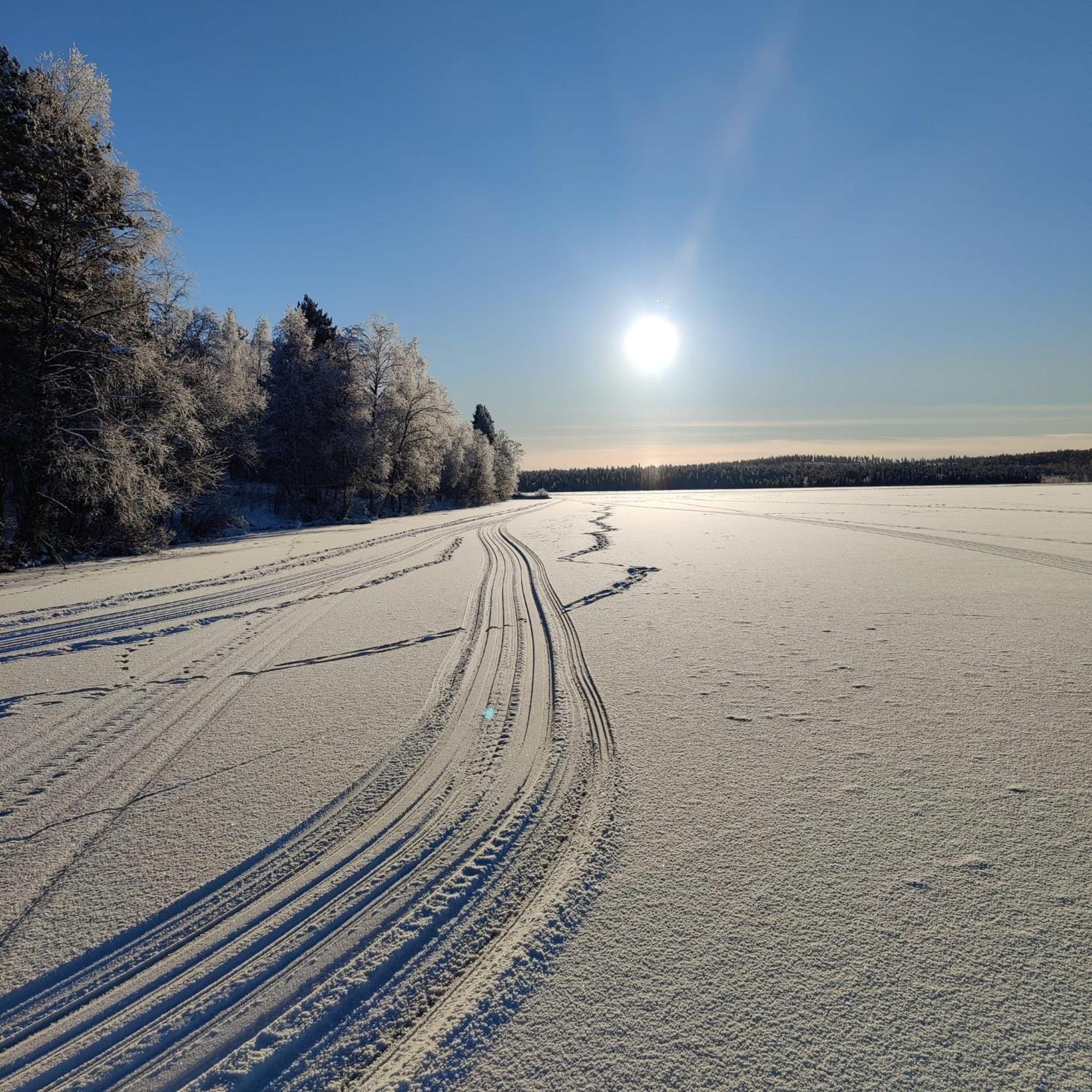 Levi Sky Igloo With Private Sauna And Hot Tub Exteriör bild
